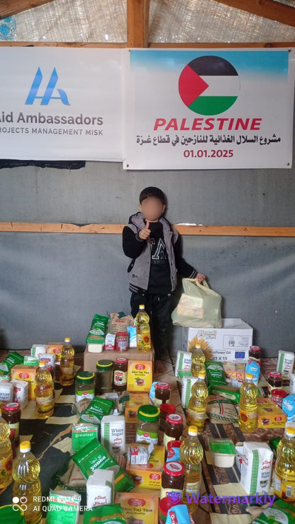 Food package in Palestine