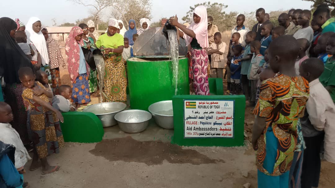 Surface well in Togo