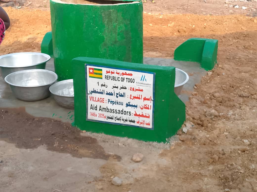 Surface well in Togo