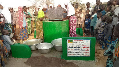 Surface well in Togo