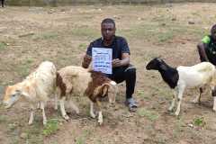 مشروع-العقيقة-في-بنين